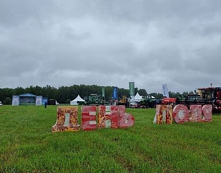 Дорогу к выставке достижений агропрома отремонтируют стружкой